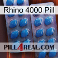 Rhino 4000 Pill viagra2